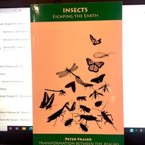 Insects